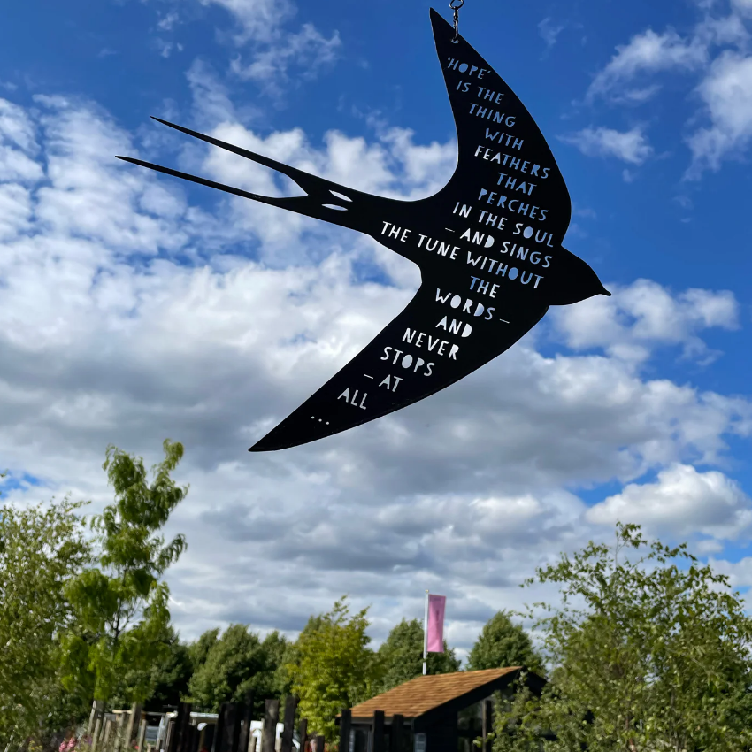 A Blackbird Sang Roots Curiosities A Blackbird Sang Roots Curiosities